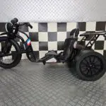 Kinder Trike 24 volt